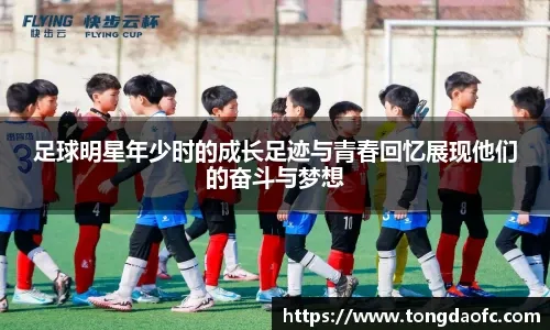 体素质状元